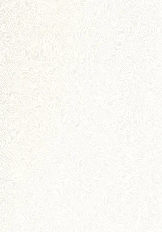Expédié Aujourd'hui Papier Peint STORM CASELIO