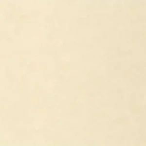 Vente Directe Papier peint Uni Mat BEIGE - Collection Céramique - CASELIO - Réf. CER105241110