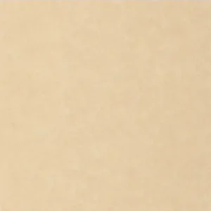 Papier peint Uni Mat CAPPUCINO Collection Céramique - CASELIO - Réf. CER105241223 Acheter En Ligne