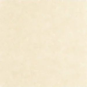 Bon Marché Papier peint Uni Mat COQUILLE D‘OEUF Collection Céramique - CASELIO - Réf. CER105241730