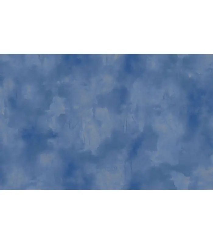 Offre Du Jour Papier peint ELITIS - VP960-41 - Collection Ortigia - 10x0,70m