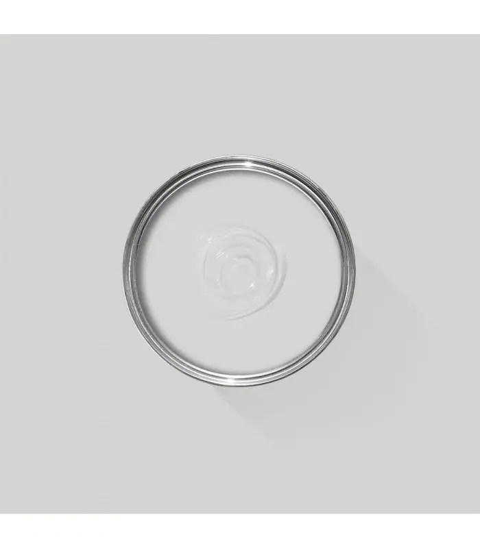 Farrow & Ball Échantillon BLACKENED 2011 - 100ml Affaire À Saisir