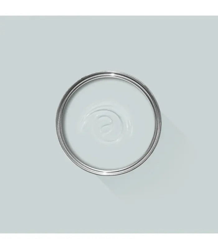 Farrow & Ball Échantillon BORROWED LIGHT 235 - 100ml Bon Marché