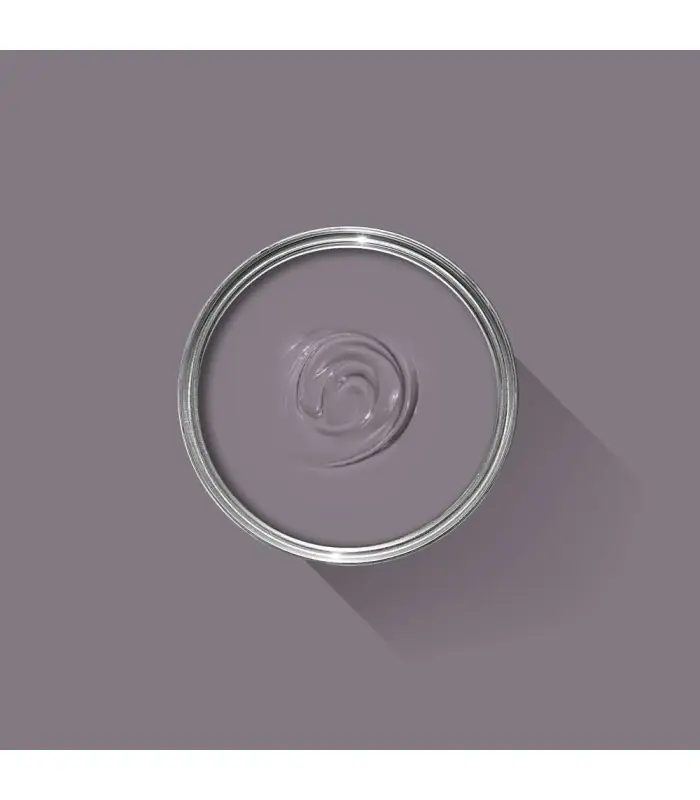 Farrow & Ball Échantillon BRASSICA 271 - 100ml Paiement Sécurisé