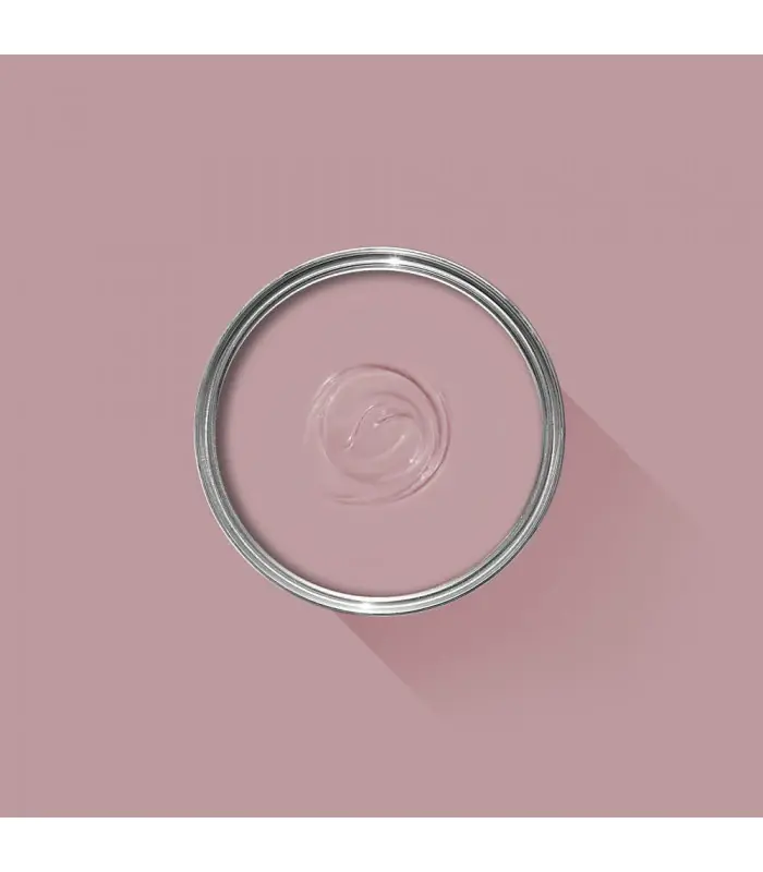 Usine Directe Farrow & Ball Échantillon CINDER ROSE 246 - 100ml