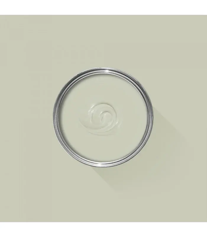 Offre Limitée Farrow & Ball Échantillon EDDY 301 - 100ml