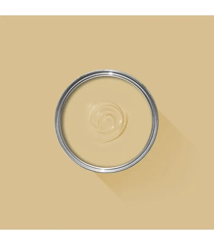 Farrow & Ball Échantillon HAY 37 - 100ml Top Vente