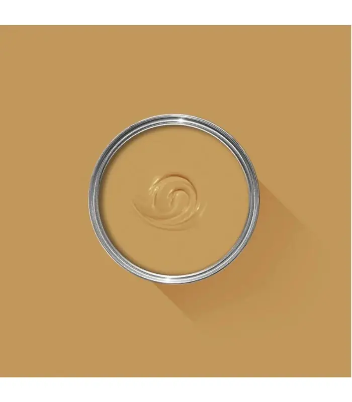 Expédié Aujourd'hui Farrow & Ball Échantillon INDIA YELLOW 66 - 100ml