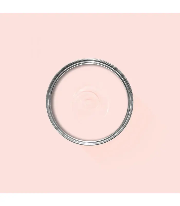 Promotion Farrow & Ball Échantillon MIDDLETON PINK 245 - 100ml