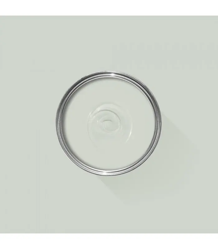 Farrow & Ball Échantillon PALE POWDER 204 - 100ml Quantité Limitée