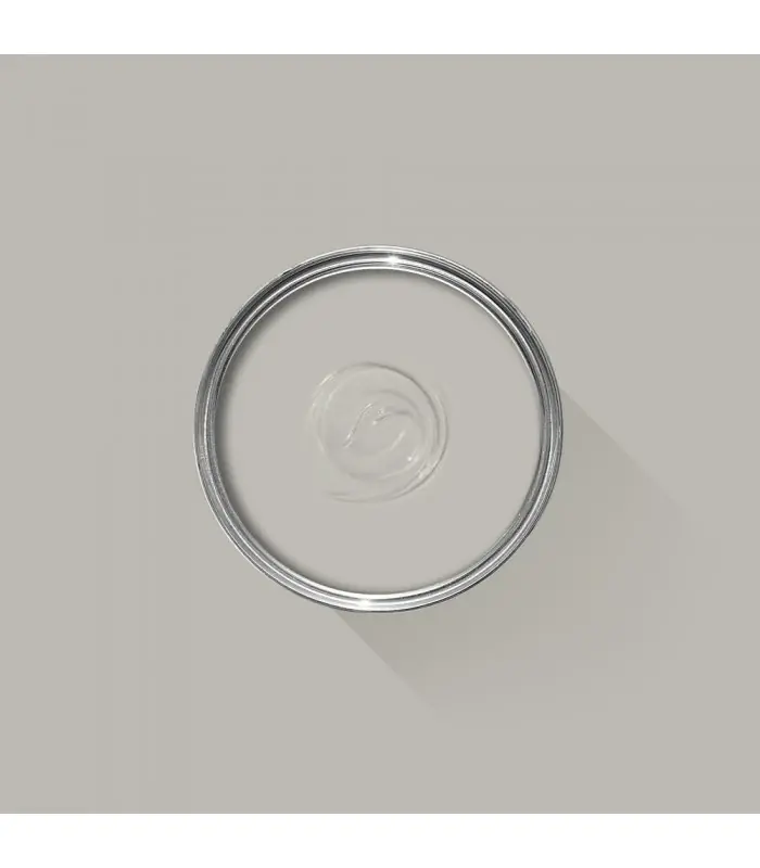 Paiement Sécurisé Farrow & Ball Échantillon PAVILION GRAY 242 - 100ml