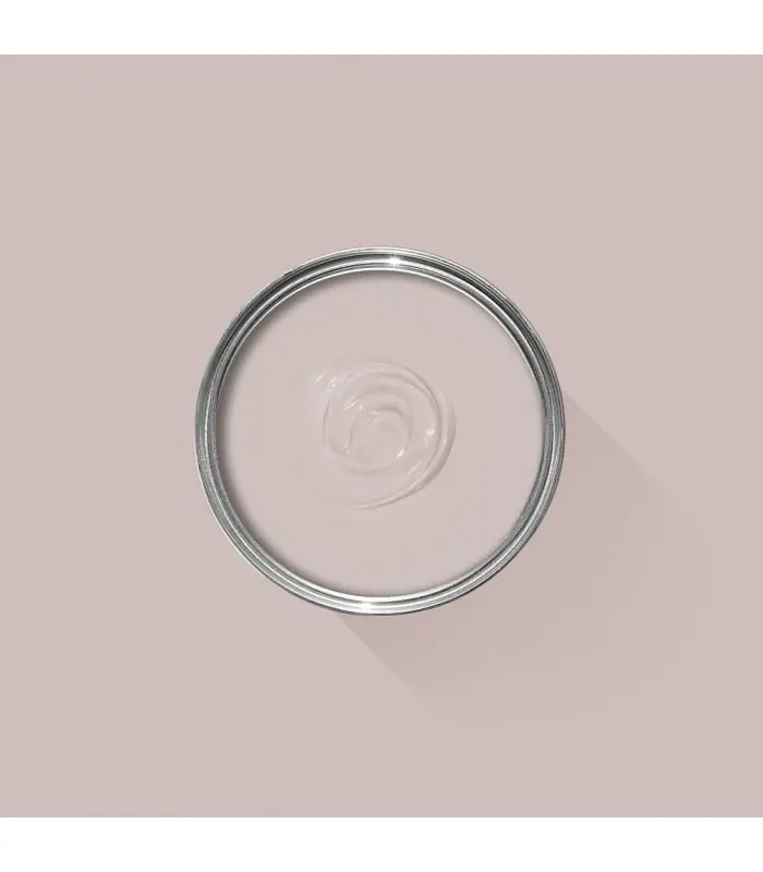 Vente Directe Farrow & Ball Échantillon PEIGNOIR 286 - 100ml