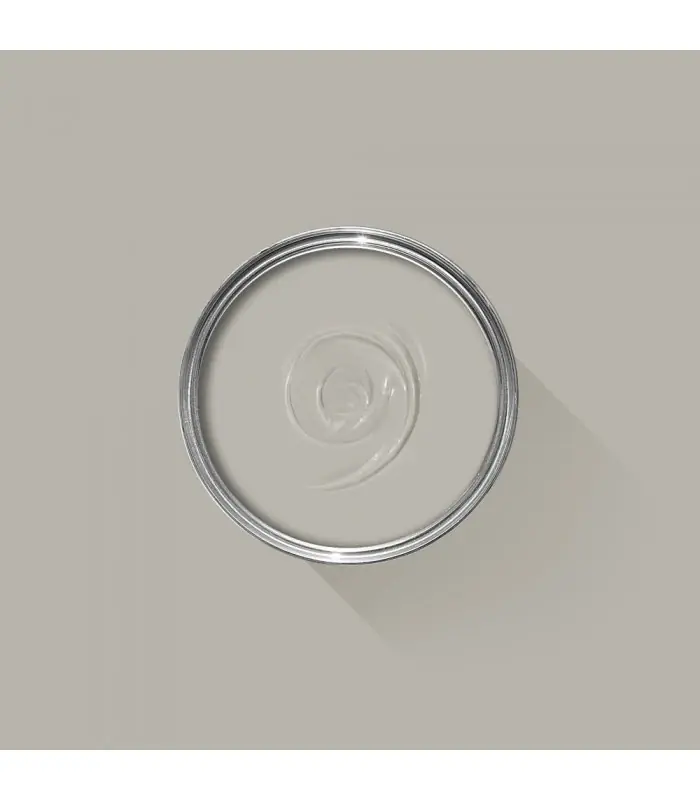 Vente Flash Farrow & Ball Échantillon PURBECK STONE 275 - 100ml