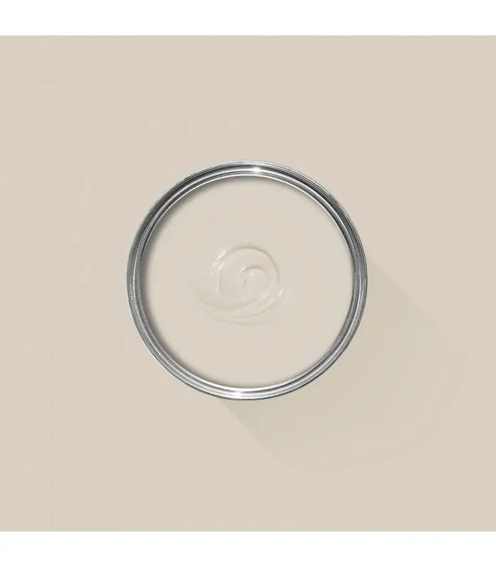 Farrow & Ball Échantillon SKIMMING STONE 241 - 100ml Pas Cher