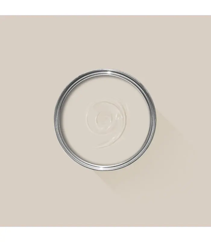 Usine Directe Farrow & Ball Échantillon STIRABOUT 300 - 100ml