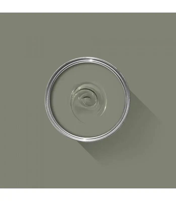 Farrow & Ball Échantillon TRERON 292 - 100ml Prix Réduit