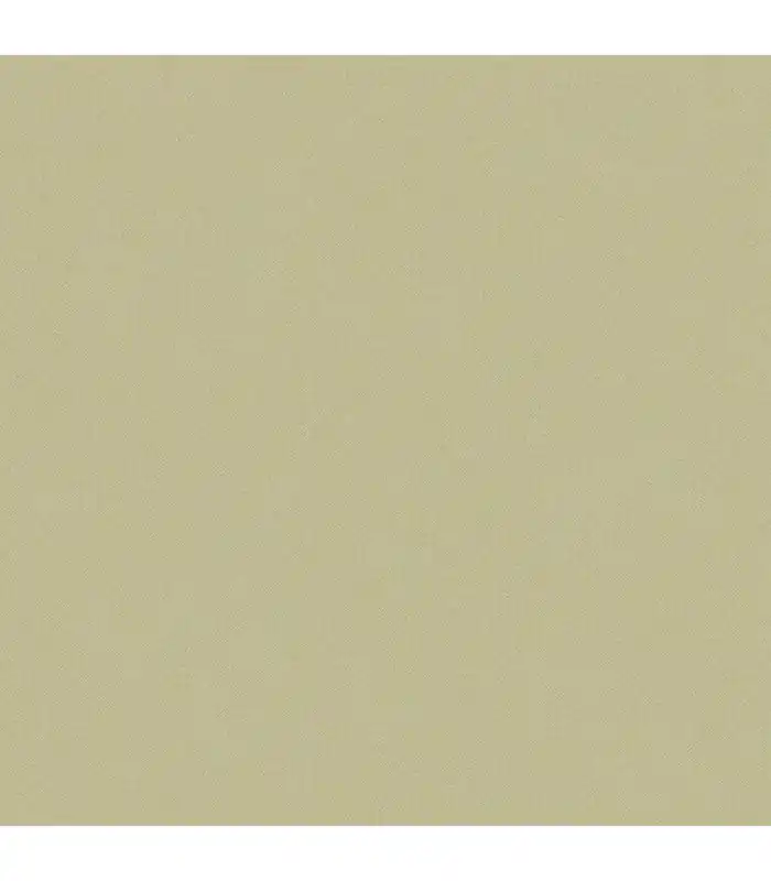 Papier Peint CHEVRON UNI METALLISE IRISE VERT AMANDE DORE - Collection COLOR BOX 3 - CASELIO - Réf. CB3102237022 Affaire À Saisir