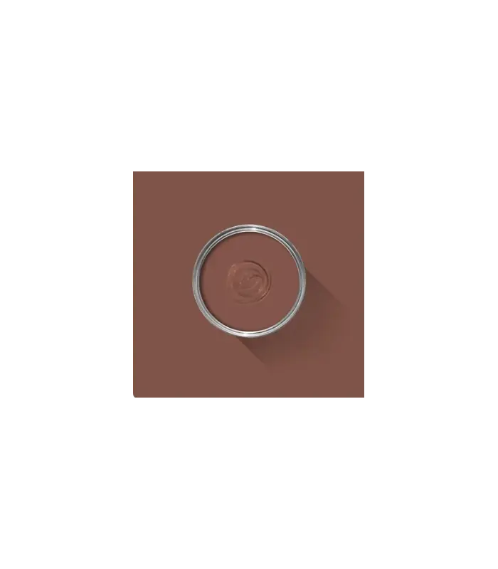 Farrow & Ball Échantillon ETRUSCAN RED 56 - 100ml Bon Marché