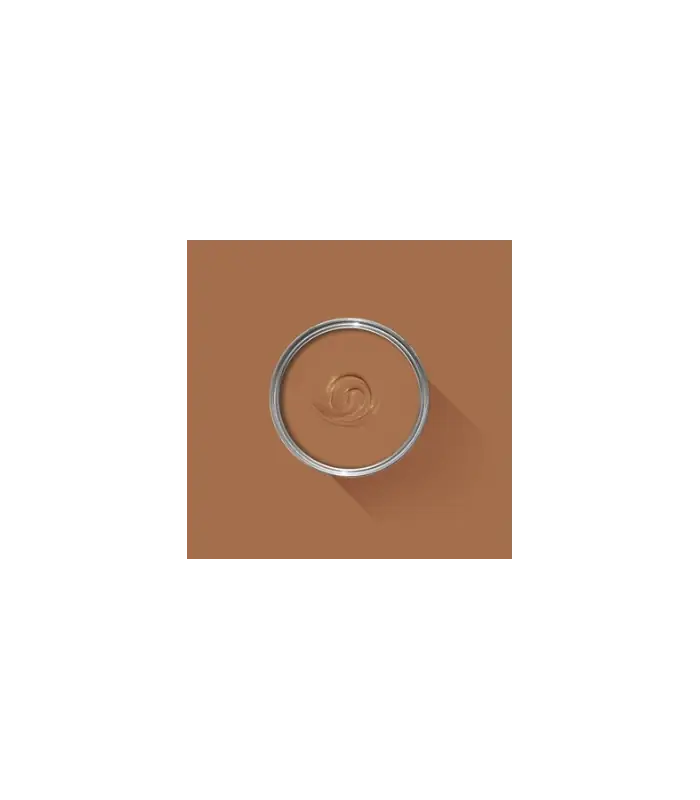 Petit Prix Farrow & Ball Échantillon MARMELO 316 - 100ml