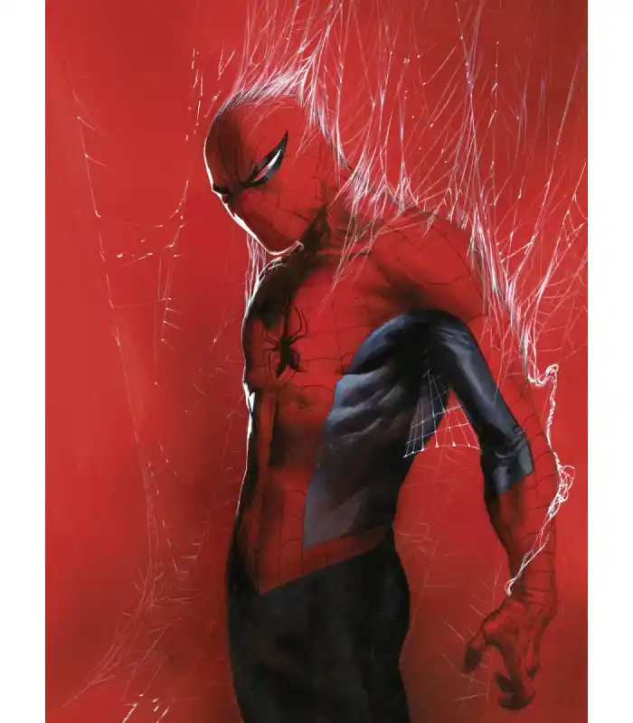 Offre Exclusive MARVEL SPIDER-MAN THROUGH THE SPIDER WEB 30X40