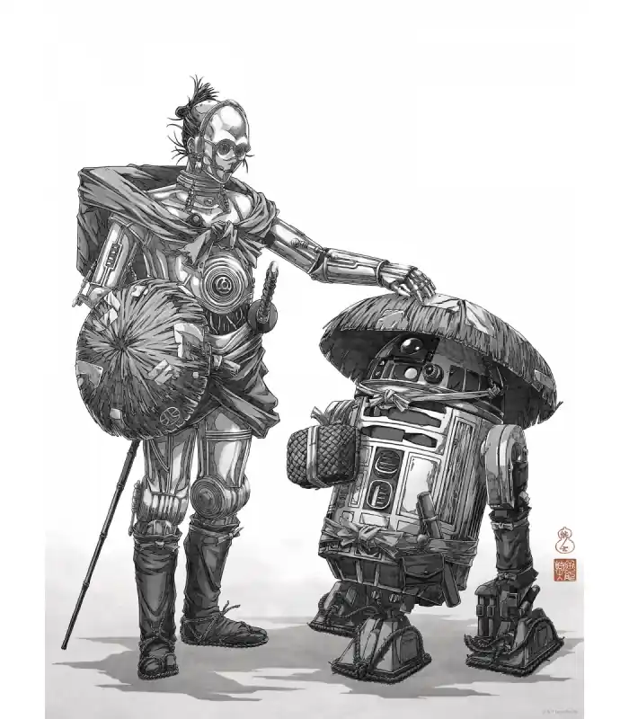 STAR WARS VISION SAMURAI DROIDS 30X40 Commander Maintenant