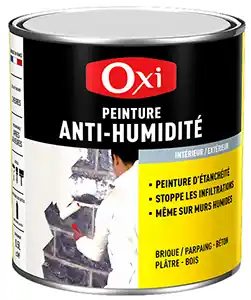 Prix Bas Peinture anti-humidité Blanc mat 2,5L+20 2,5L+20%