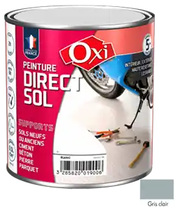 Acheter En Ligne Peinture DIRECT SOL Gris Clair 2,5L
