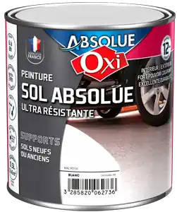 Peinture SOL ABSOLUE Blanc 0,5L RAL 9016 RAL 9016 Acheter En Ligne