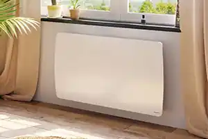 Affaire À Saisir Radiateur électrique TAHUAL 1000W Blanc à inertie fonte