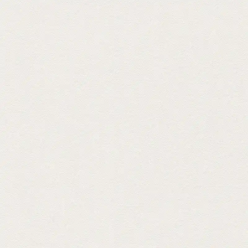 Authentique A.S. Creation Elegance 3 304863 papier peint intissé uni 0.53 m x 10.05 m beige