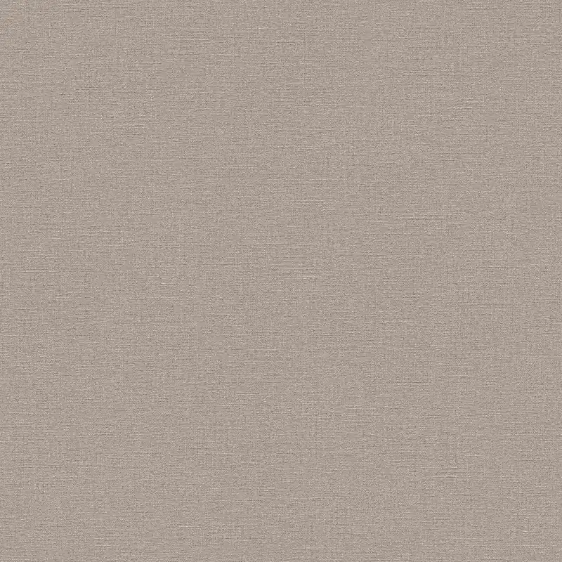 Acheter Direct A.S. Creation Secret Garden 324746 papier peint intissé uni 0.53 m x 10.05 m marron