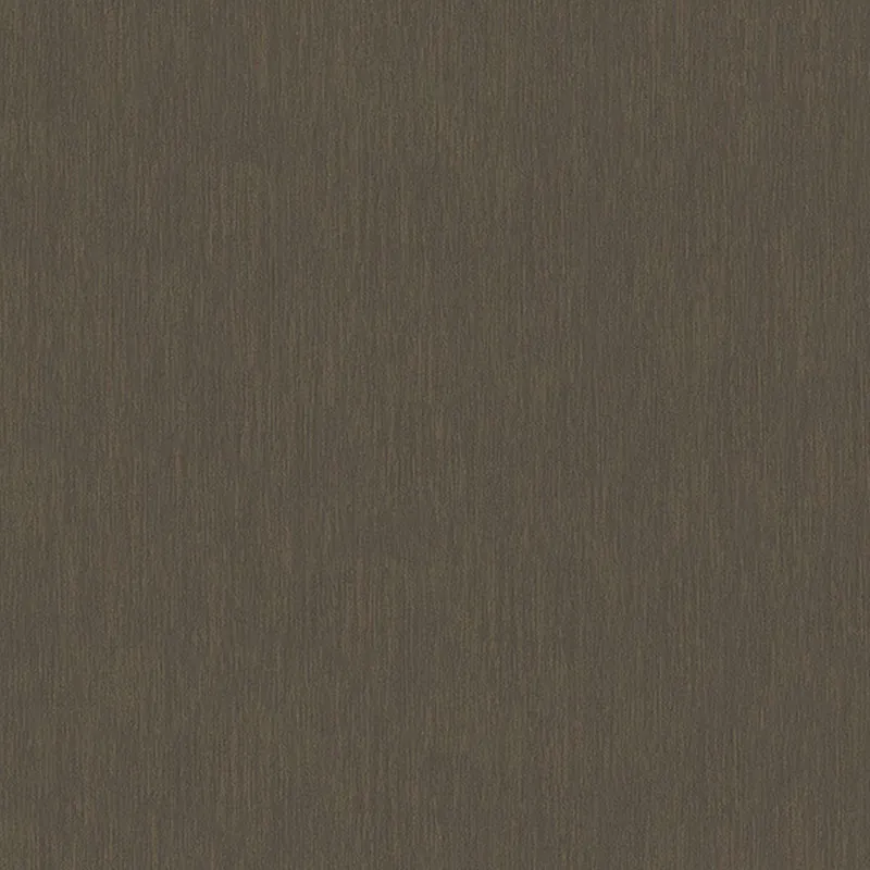Acheter En Ligne A.S. Creation AP Longlife Colours 305634 papier peint intissé uni 1.06 m x 21 m marron