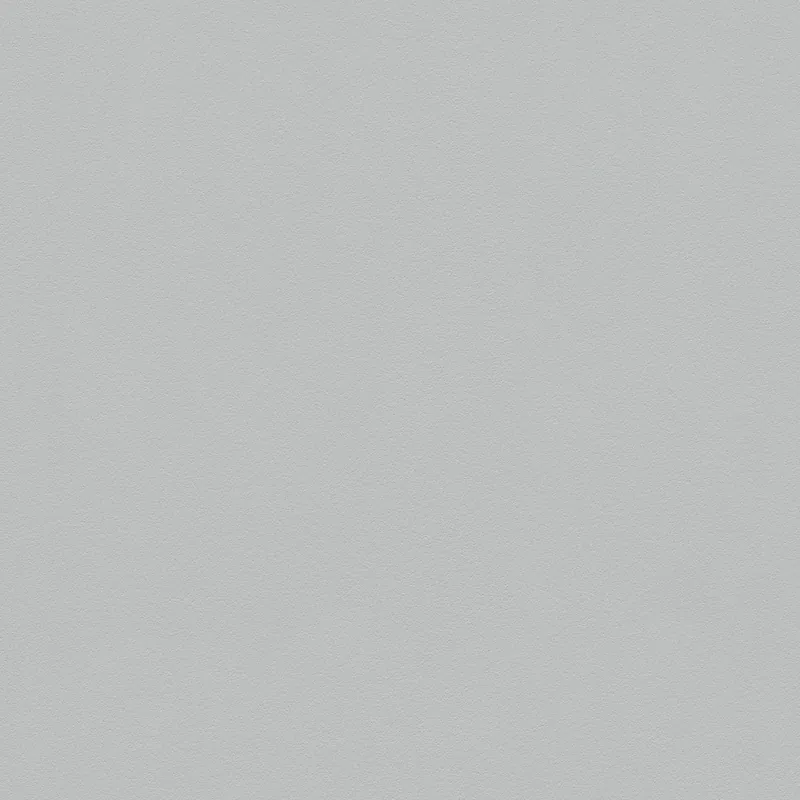 A.S. Creation Meistervlies 5 309136 papier peint intissé uni 0.53 m x 10.05 m gris Bon Marché