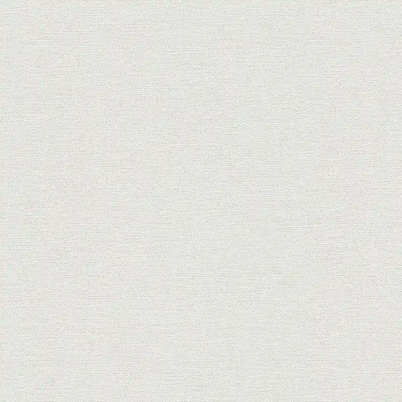 A.S. Creation Designbook 306889 papier peint intissé uni 0.53 m x 10.05 m gris Offre Spéciale