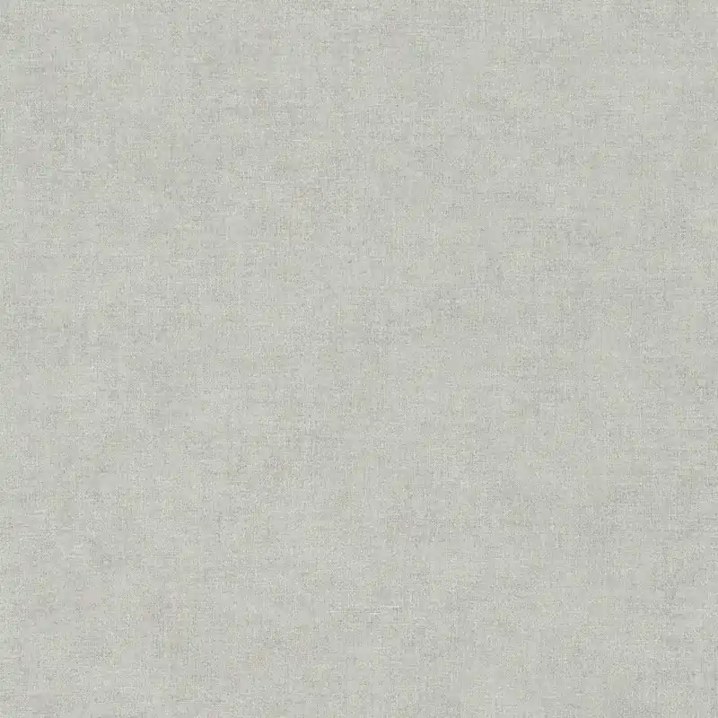 A.S. Creation Paradise Garden 367207 papier peint intissé uni 0.53 m x 10.05 m gris Commander Vite
