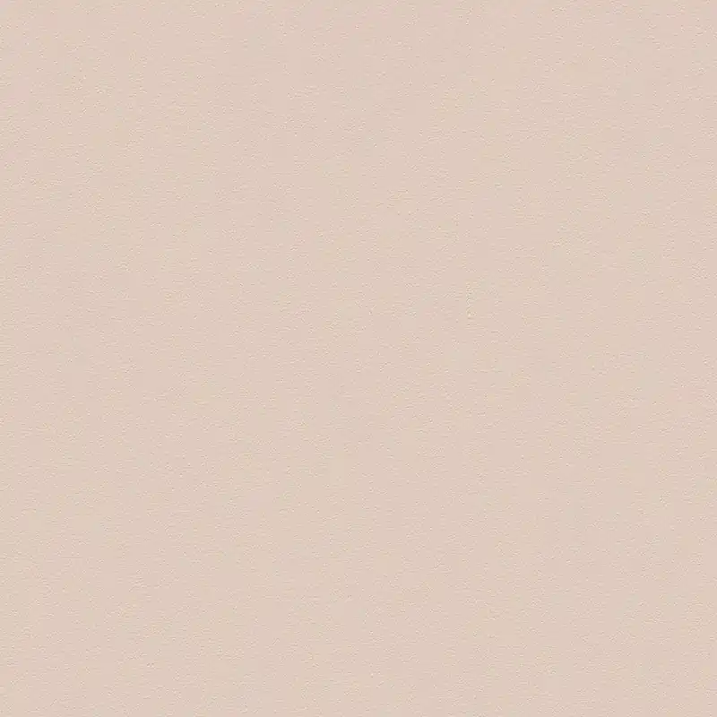 A.S. Creation Il Decoro 309150 papier peint intissé uni 0.53 m x 10.05 m beige Offre Exclusive