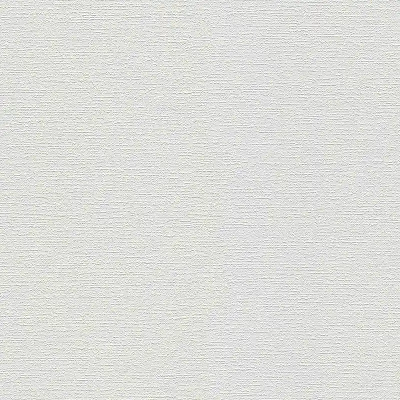 A.S. Creation Meistervlies 103918 papier peint intissé enduit 0.53 m x 10.05 m blanc Affaire À Saisir