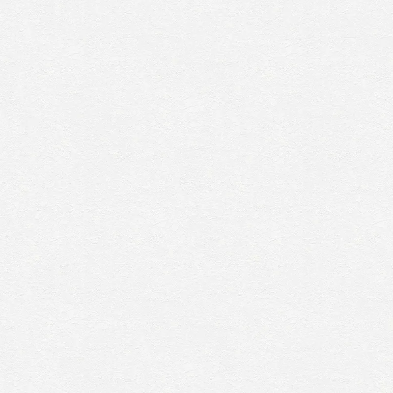 A.S. Creation Meistervlies 248817 papier peint intissé enduit 1.06 m x 25 m blanc Remise