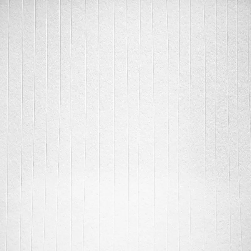 A.S. Creation Meistervlies 320051 papier peint intissé à rayures 1.06 m x 25 m blanc Super Prix