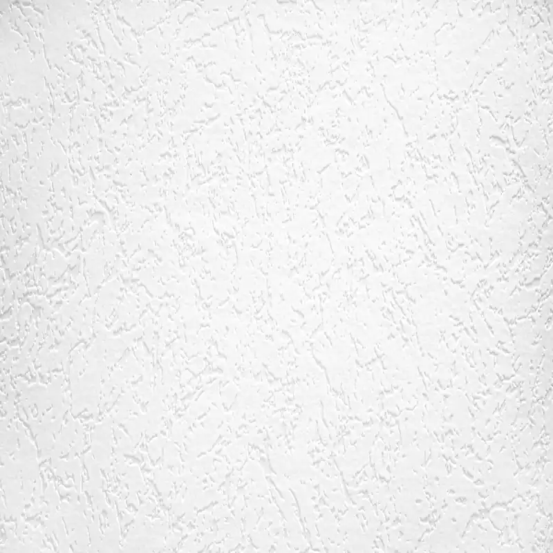 A.S. Creation Meistervlies 929518 papier peint intissé enduit 0.53 m x 10.05 m blanc Nouveauté