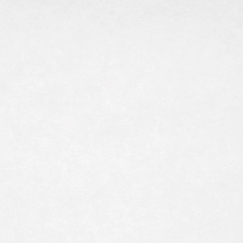 A.S. Creation Einzelblatt 865519 papier peint intissé uni 0.75 m x 25 m blanc Meilleur Choix