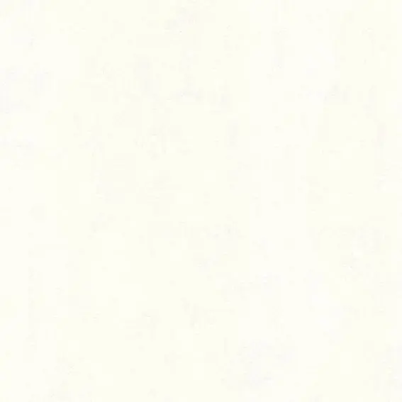 Prix Cassé A.S. Creation Blooming 224040 papier peint intissé uni 0.53 m x 10.05 m blanc