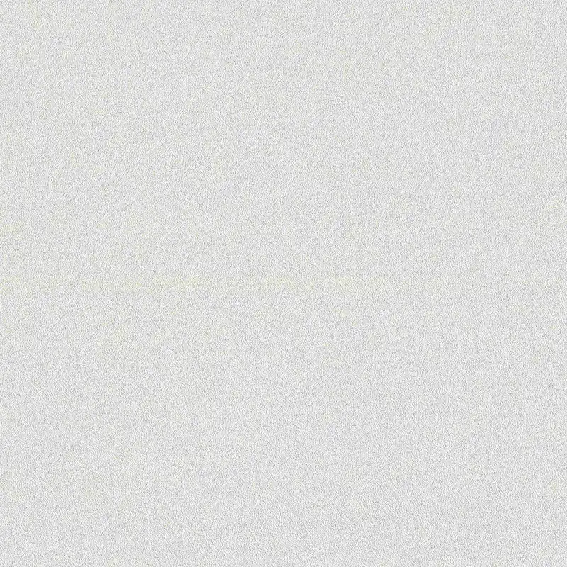 Rasch Wall Textures 2020 Vol. IV 479423 papier peint intissé uni 0.53 m x 10.05 m beige Nouvelle Collection