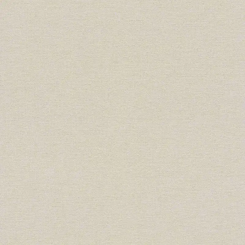 Rasch Denzo 448634 papier peint intissé uni 0.53 m x 10.05 m beige Meilleur Prix