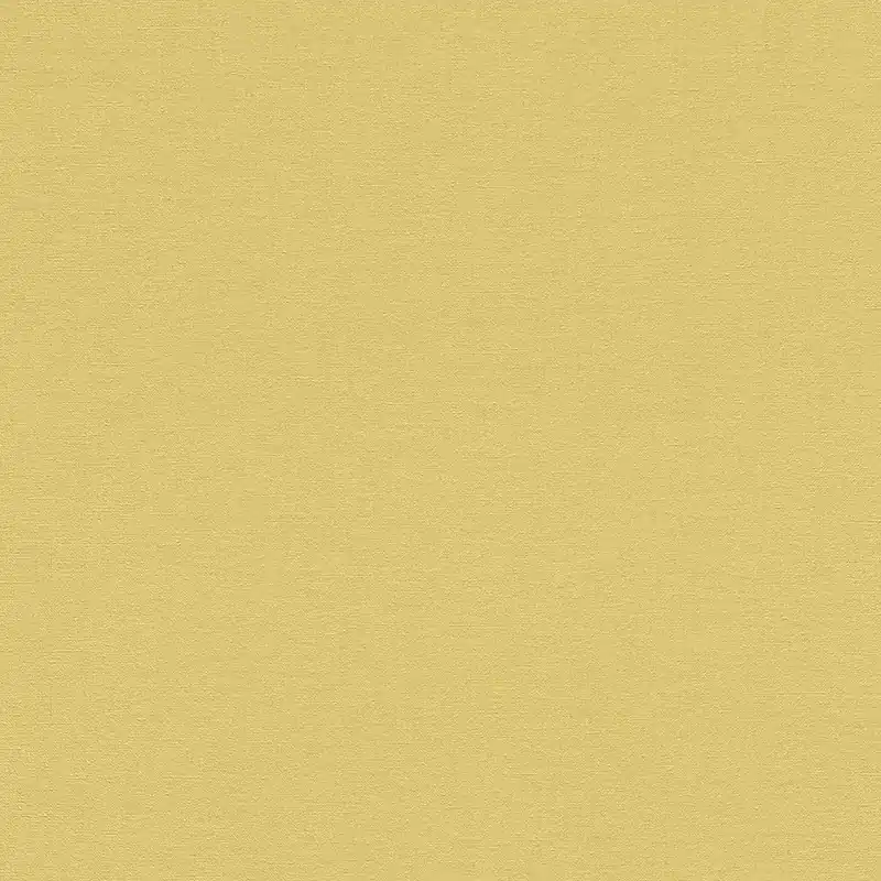 Rasch Selection 449839 papier peint intissé uni 0.53 m x 10.05 m jaune Marque