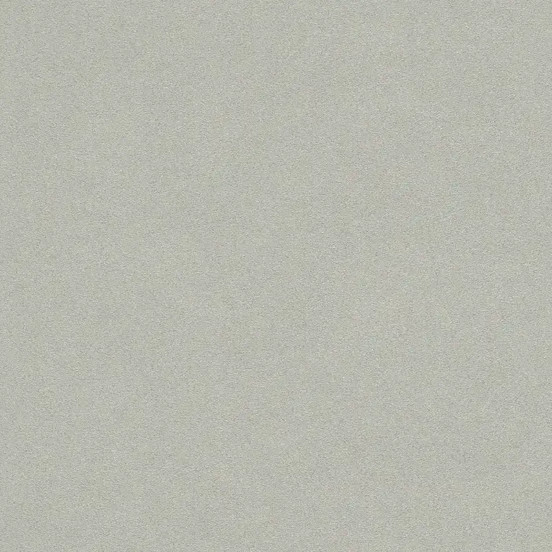 Rasch Wall Textures 2020 Vol. IV 479409 papier peint intissé uni 0.53 m x 10.05 m marron Expédié Aujourd'hui