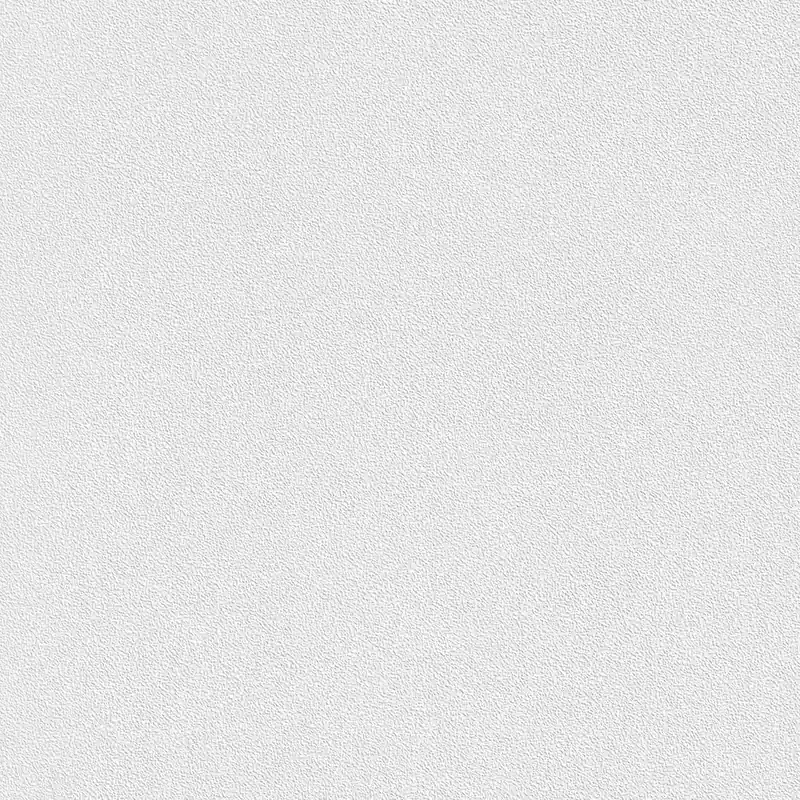 Commander Vite Rasch Wallton 2020 144000 papier peint intissé uni 0.53 m x 10.05 m blanc