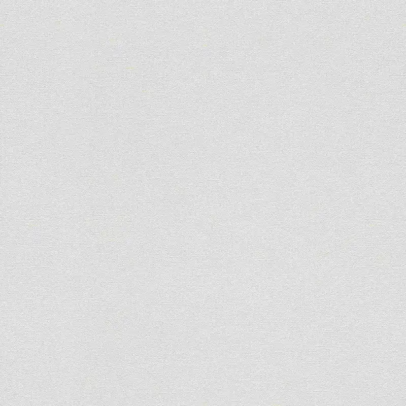 Affaire À Saisir Rasch Unsere Besten 2022 479324 papier peint intissé uni 0.53 m x 10.05 m gris
