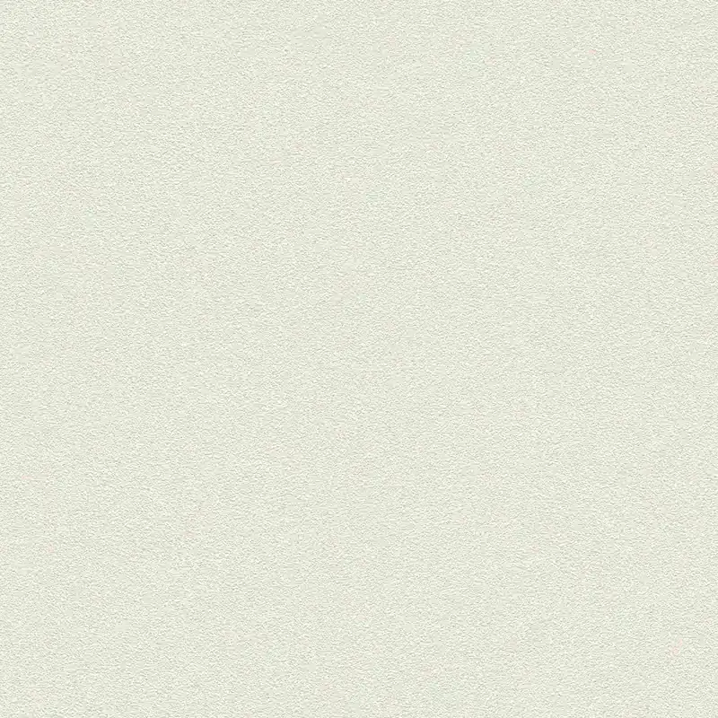 Rasch Selection Vinyl/Vlies 606638 papier peint intissé uni 0.53 m x 10.05 m blanc Acheter En Ligne
