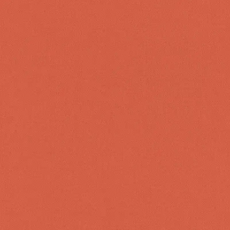 Rasch Poetry 423969 papier peint intissé uni 0.53 m x 10.05 m Orange Populaire